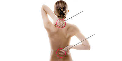 Orthokinética